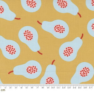 yModa _zLazy Afternoon-1780-16(2E-08) }X^[h m Rbg100% V[`Oy10cmPʔ̔z