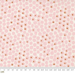 yModa _zLazy Afternoon-1782-12(2E-08) sN ʕ Rbg100% V[`Oy10cmPʔ̔z