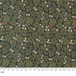 yModa _zMorris Meadow-8375-21(3B-03) Acorn GCR[ O[n A 䕕  u[x[ Co͗l Rbg100% V[`O xXgIuXy10cmPʔ̔z