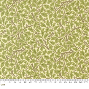 yModa _zMorris Meadow-8376-11(3B-03) Acorn GCR[ O[n A ؂̂ ǂ񂮂 ~̗t Rbg100% V[`O xXgIuXy10cmPʔ̔z