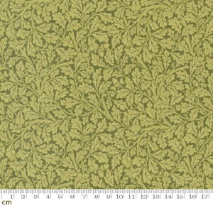 yModa _zMorris Meadow-8376-20(3B-03) Acorn GCR[ O[n  A ؂̂ ǂ񂮂 ~̗t Rbg100% V[`O xXgIuXy10cmPʔ̔z