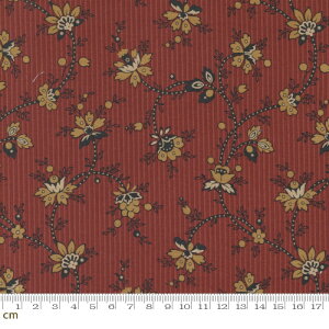 yModa _zAdamstown-38130-15(2E-06) bh AeB[N Xѕ XgCv Rbg100% V[`Oy10cmPʔ̔z