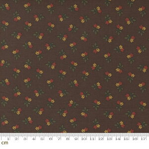 yModa _zAdamstown-38131-18(2E-06) J[L AeB[N Xѕ XgCv Rbg100% V[`Oy10cmPʔ̔z