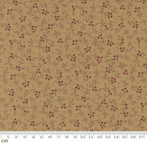 yModa _zAdamstown-38132-13(2E-06) x[W AeB[N A XgCv Rbg100% V[`Oy10cmPʔ̔z