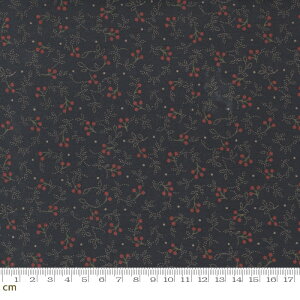 yModa _zAdamstown-38132-21(2E-06) ubN AeB[N A XgCv Rbg100% V[`Oy10cmPʔ̔z