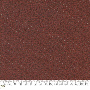 yModa _zAdamstown-38137-15(2E-06) bh AeB[N  hbg Rbg100% V[`Oy10cmPʔ̔z