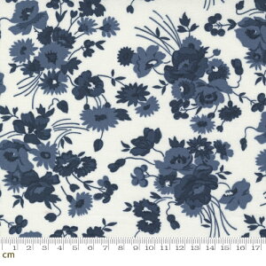 yModa-k _zNantucket Summer-55260-21(3A-04) zCg lCr[ ԕ u[P AeB[N  Rbg100 V[`O 110cmy10cmPʔ̔z