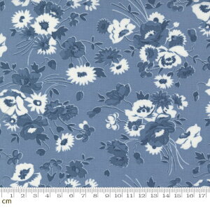 yModa-k _zNantucket Summer-55260-25(3A-04) zCgn lCr[n u[n ԕ Rbg100 V[`Oy10cmPʔ̔z