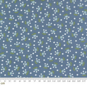 yModa-k _zNantucket Summer-55266-15(3A-04) O[n lCr[n XJCu[n zCgn ԕ Rbg100 V[`Oy10cmPʔ̔z