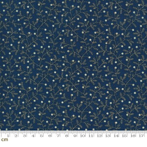 yModa _zCrystal Lane-2983-15(2E-04) x[Wn zCgn u[n A NX}X Rbg 100 V[`Oy10cmPʔ̔z