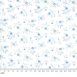 yModa _zCrystal Lane-2984-17(2E-04) zCgn u[n ԕ NX}X Rbg 100 V[`Oy10cmPʔ̔z