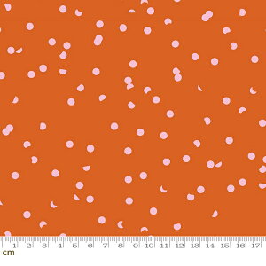 yModa _zHole Punch Dot-RS3025-14(2C-02) IWn hbg  L Rbg100% V[`Oy10cmPʔ̔z