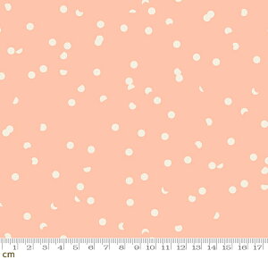 yModa _zHole Punch Dot-RS3025-27(2C-02) sNn hbg  L Rbg100% V[`Oy10cmPʔ̔z