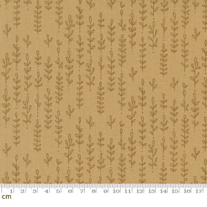 yModa _zForest Frolic-48745-14(3B-03) CguE A mX^WbN Rbg100 V[`O y10cmPʔ̔z