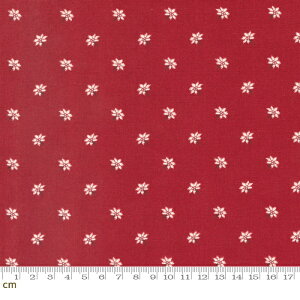 yModa _zJoyful Gatherings-49218-14(3B-03) bh A qCM NX}X AeB[N Rbg100 V[`O y10cmPʔ̔z