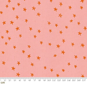 yModa _zStarry-RS4006-14(2E-04)sNn IWn  X^[ L Rbg100 V[`Oy10cmPʔ̔z