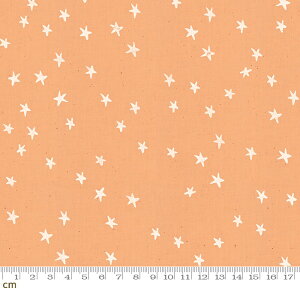 yModa _zStarry-RS4006-17(2E-04) IW  X^[ |bv L Rbg100 V[`Oy10cmPʔ̔z