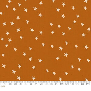 yModa _zStarry-RS4006-20(2E-04) uEn  X^[ L Rbg100 V[`Oy10cmPʔ̔z