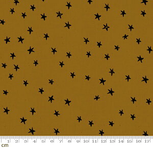 yModa _zStarry-RS4006-21(2E-04)uEn uEn  X^[ L Rbg100 V[`Oy10cmPʔ̔z