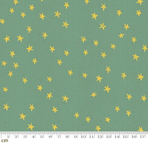 yModa _zStarry-RS4006-24(2E-04) O[n ΐF CG[n  X^[ L Rbg100 V[`Oy10cmPʔ̔z