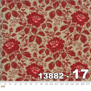 yModa _zLa Rose Rouge-13882-17(2E-02)O[n bhn  ԕ A Rbg100% V[`Oy10cmPʔ̔z