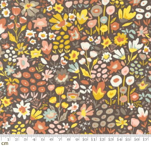 yModa _zDawn On The Prairie-45572-15(2B-03) ԕ uE mX^WbN Rbg100% V[`Oy10cmPʔ̔z