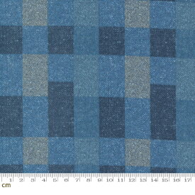 【クーポン最大500円OFF！】Lakeside Gatherings Flannel-49220-14F(3F-17)(フランネル) チェック ブルー ナチュラル コットン100%【10cm単位販売】