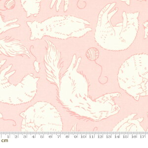 yModa _zHere Kitty Kitty-20832-17(3B-04) L lY~ ю sN 킢 Rbg100%y10cmPʔ̔z