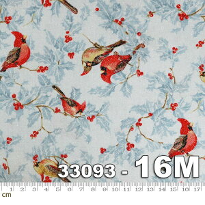 yN[|ő500~OFFIzForest Frost-33093-16M(Ob^[H)(2D-02) u[n A  Rbg100% V[`Oy10cmPʔ̔z