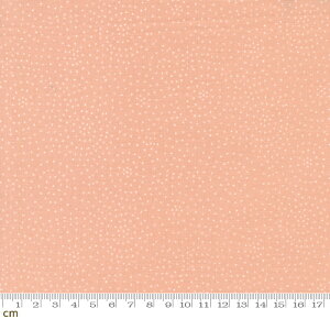 yModa _zQuaint Cottage-48376-18(3B-04) sNn 􉽊w Rbg100 V[`Oy10cmPʔ̔z