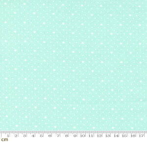yModa _zLighthearted-55298-13(3B-05) u[n F zCgn hbg n[g Rbg100 V[`Oy10cmPʔ̔z