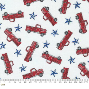 yModa _zAll American-56021-11(2E-08) zCg F ԕ  Jg[ Rbg100% V[`Oy10cmPʔ̔z