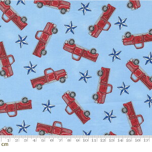 yModa _zAll American-56021-14(2E-08) u[ F XJCu[ ԕ  Jg[ Rbg100% V[`Oy10cmPʔ̔z