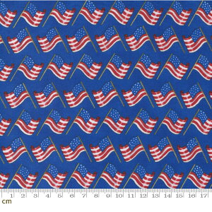yModa _zAll American-56023-12(2E-08) u[ F   USA  Jg[ Rbg100% V[`Oy10cmPʔ̔z