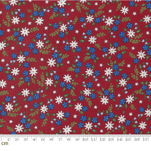 yModa _zAll American-56024-13(2E-08) zCg u[ bh ԐF ԕ Jg[ Rbg100% V[`Oy10cmPʔ̔z