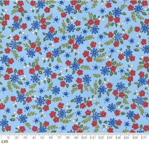 yModa _zAll American-56024-14(2E-08) u[ bh ԐF ԕ Jg[ Rbg100% V[`Oy10cmPʔ̔z