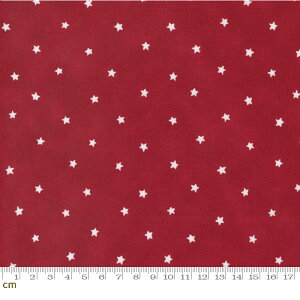 yModa _zAll American-56028-16(2E-08) bh ԐF Jg[ Rbg100% V[`Oy10cmPʔ̔z