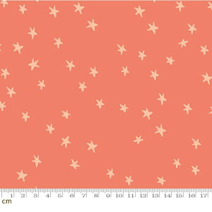 yModa _zStarry 2023-RS4109-54(3A-02) bhn sNn x[Wn  X^[ Jt Rbg100% V[`O ruby star r[X^[y10cmPʔ̔z