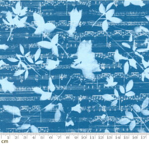 yModa _zBluebell-16962-13(2E-06) u[ A  y `[t Rbg100 V[`Oy10cmPʔ̔z