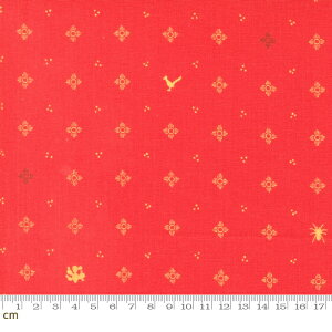 yModa _zLand Of Enchantment-45035-18(2B-01) bhn L  Ƃb Rbg100 V[`Oy10cmPʔ̔z
