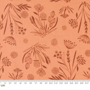 yModa _zWoodland And Wildflowers-45583-23(3B-02) IWn ԕ A {^jJ Rbg100 V[`Oy10cmPʔ̔z