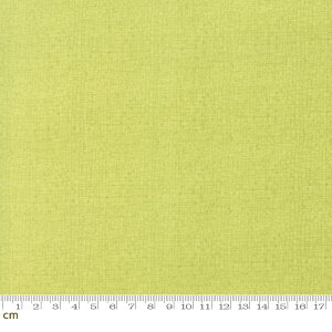 yModa _zDandi Duo-48626-124(3B-01) CG[n n Rbg100 V[`Oy10cmPʔ̔z