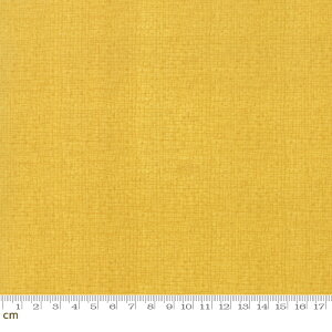 yModa _zDandi Duo-48626-28(3B-01) CG[n n Rbg100 V[`Oy10cmPʔ̔z