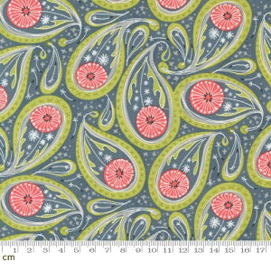 yModa _zDandi Duo-48753-17(3B-01) O[ yCY[ A Ȗ Rbg100 V[`Oy10cmPʔ̔z