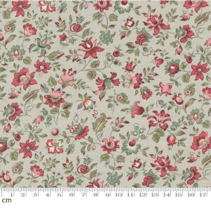 yModa _zAntoinette-13952-12(3A-06) O[n u[n ԕ A t`WFl Rbg100 V[`Oy10cmPʔ̔z