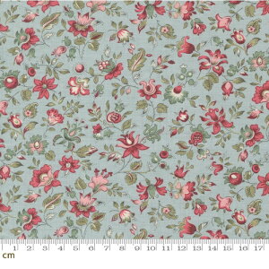 yFrench GeneralzAntoinette-13952-13(3A-01) u[ ԕ A t`WFl t`AeB[N  Rbg100 V[`O 110cmy10cmPʔ̔z