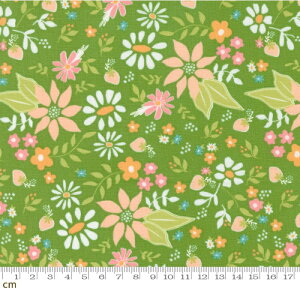 yModa _zStrawberry Lemonade-37670-20(2E-06) O[ ԕ t[c 䕕  Rbg100% V[`Oy10cmPʔ̔z