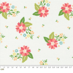 yModa _zStrawberry Lemonade-37671-11(2E-06) zCg ԕ J[l[V ̓ Rbg100% V[`Oy10cmPʔ̔z