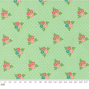 yModa _zStrawberry Lemonade-37672-17(2E-06) O[ ԑ ԕ hbg ʖ͗l Rbg100% V[`Oy10cmPʔ̔z