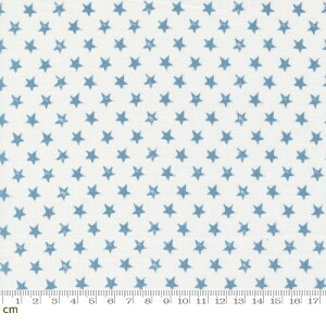 yModa _zOld Glory-5204-22(2E-06) zCgn u[n L X^[  AJ Jg[ Rbg100% V[`O y10cmPʔ̔z